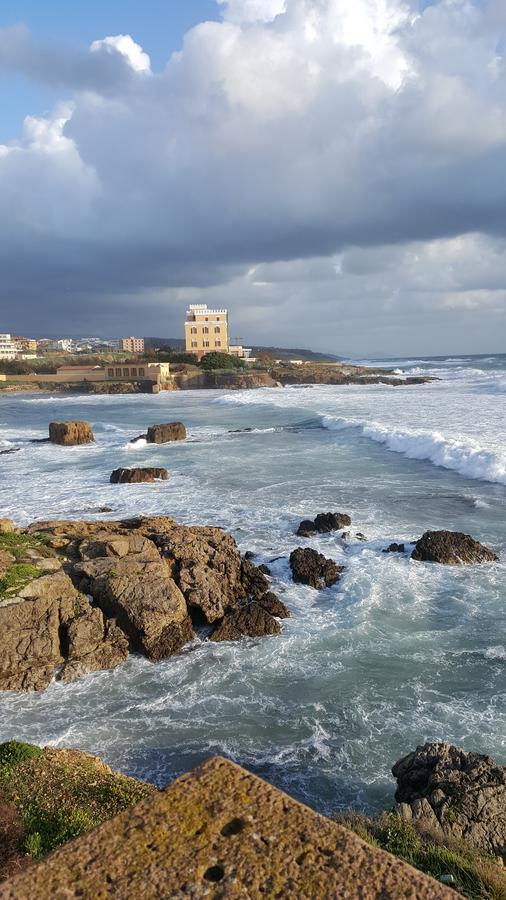 Il Giardino Del Nespolo Bed & Breakfast Alghero Dış mekan fotoğraf